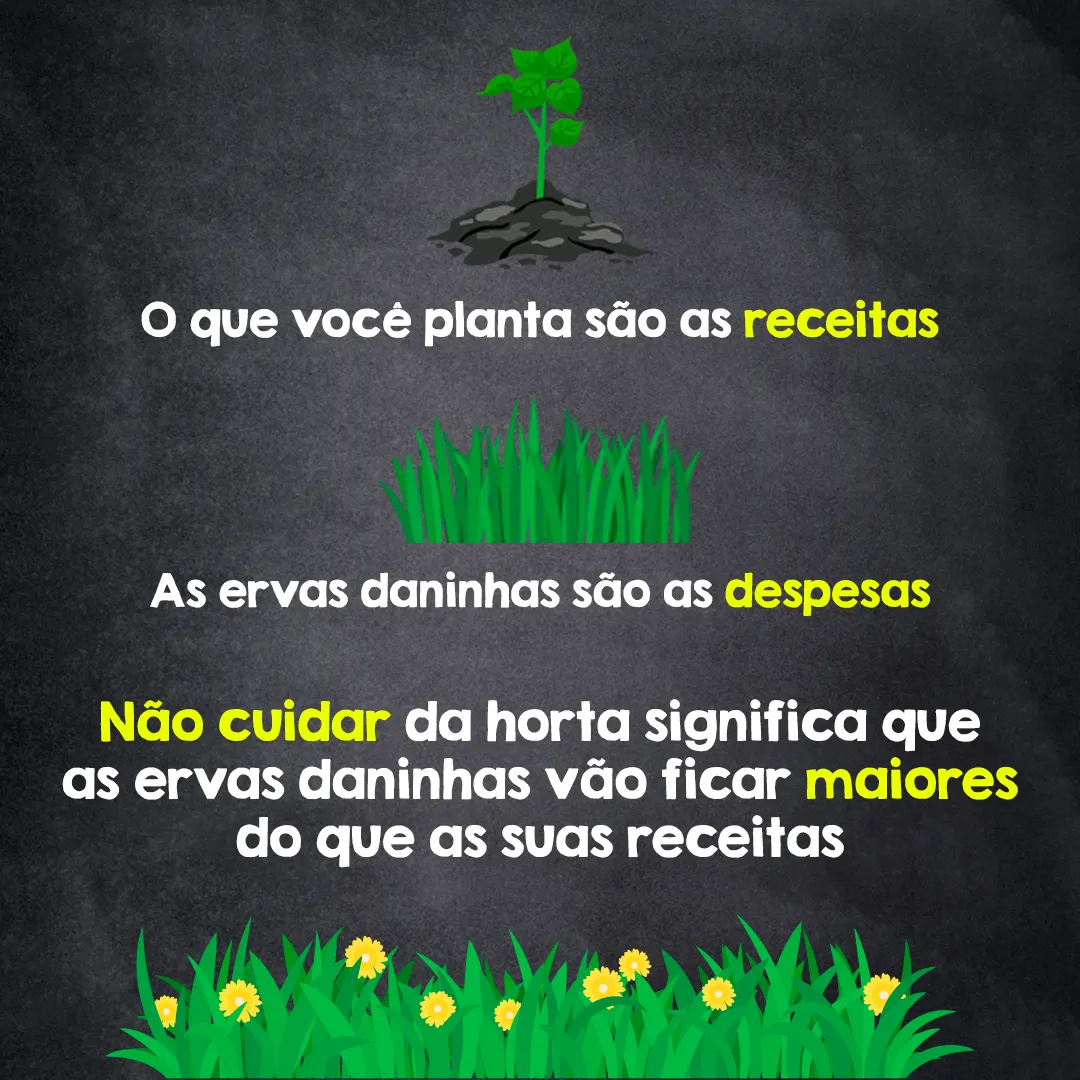 analogia: metas de despesas e horta